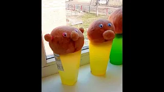                     دندنها