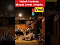 Download Lagu Didatangi Harimau