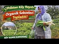 Lagu 🏡🌿Ablamın Çiftlik Evinden Doğal Görüntüler! Bağ Bahçe Keyfi | Köy Vlogu