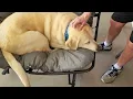 Let s Put Together Our Rocking Papasan Chair