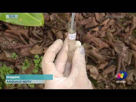 Dengue: 90% dos casos com transmissão dentro de Santa Catarina são de Joinville