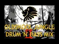 Download Lagu Oldskool Jungle Drum n Bass Mix Pt. II 94-95