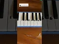 Download Lagu tutor basuri dari pianika
