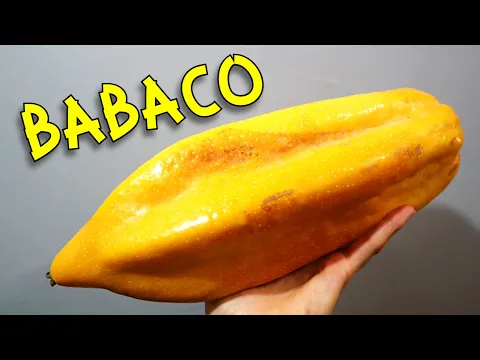 Download MP3 BABACO - Trying a Rare Ecuadorian Fruit Related to Papaya - Weird Fruit Explorer