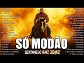 MODÃO DAS ANTIGAS - AS MELHORES | SERTANEJO RAIZ | MODÃO RAIZ - MODA DE VIOLA