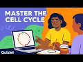 What Is Cell Cycle Regulation Explained Step-by-Step Biology