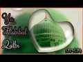 Download Lagu Ya Habibal Qolbi | SAJM (Cover)