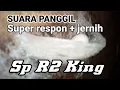 Lagu Sp R2 KING, SUARA PANGGIL WALET SUPER RESPON DAN JERNIH