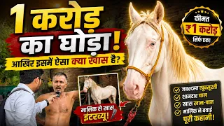 1 करोड़ का घोड़ा! 🐎 आखिर इसमें ऐसा क्या खास है? कीमत सुनकर रह जाएंगे हैरान