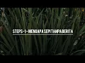 Download Lagu Steps - Mengapa Sepi Tanpa Berita | Lirik | High Quality