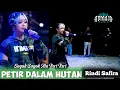 Lagu SOGOK SOGOK ALA KERI KERI - PETIR DALAM HUTAN - RINDI SAFIRA - ADMAJA MUSIC - ARS AUDIO...