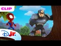 Download Lagu Spidey and Team Help an Elephant Family! 🐘 | Marvel's Spidey and his Amazing Friends | @disneyjr​
