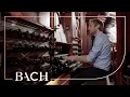 Lagu Bach - Prelude en fuga in G groot BWV 550 - Havinga | Nederlandse Bachvereniging