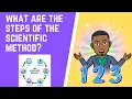 What Are The Steps of The Scientific Method