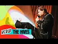 Download Lagu The Hives: KCRW Live From HQ (Full Performance)