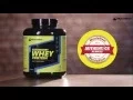 Download Lagu MuscleBlaze - Authentic Bodybuilding Supplement Always