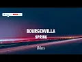 Spring - Bourgenvilla LIRIK