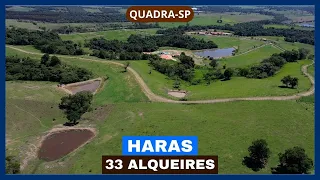 Haras de 33 alqueires à venda em Quadra-SP.