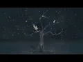 AURORA - Conqueror