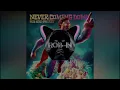 Sub Zero Project - Never Coming Down [Extended Mix]