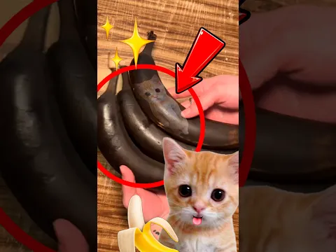 ¿POR QUÉ COMEN PLÁTANOS PODRIDOS? 🍌🤮 Resumiendo shorts #621