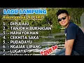 Download Lagu Lagu lampung spesial ALFARID Cover show, album lagu lampung #hiburan #music #lagulampung
