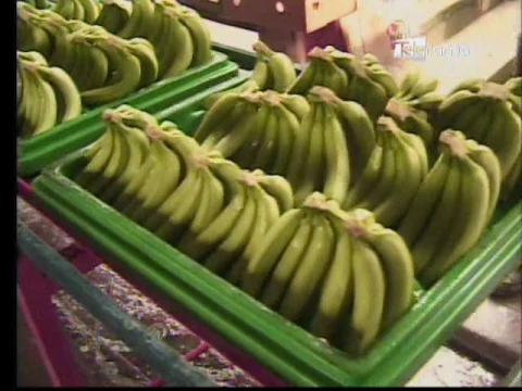 Ecuador Agropecuario 15-02-2017