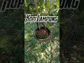 Download Lagu kopi Lampung. hari ini 35 RIBU per kilo.