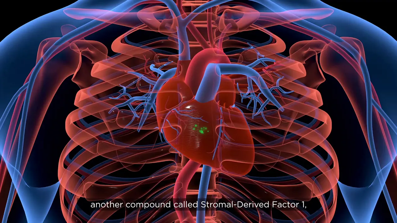 Scientific Advertising Online Video