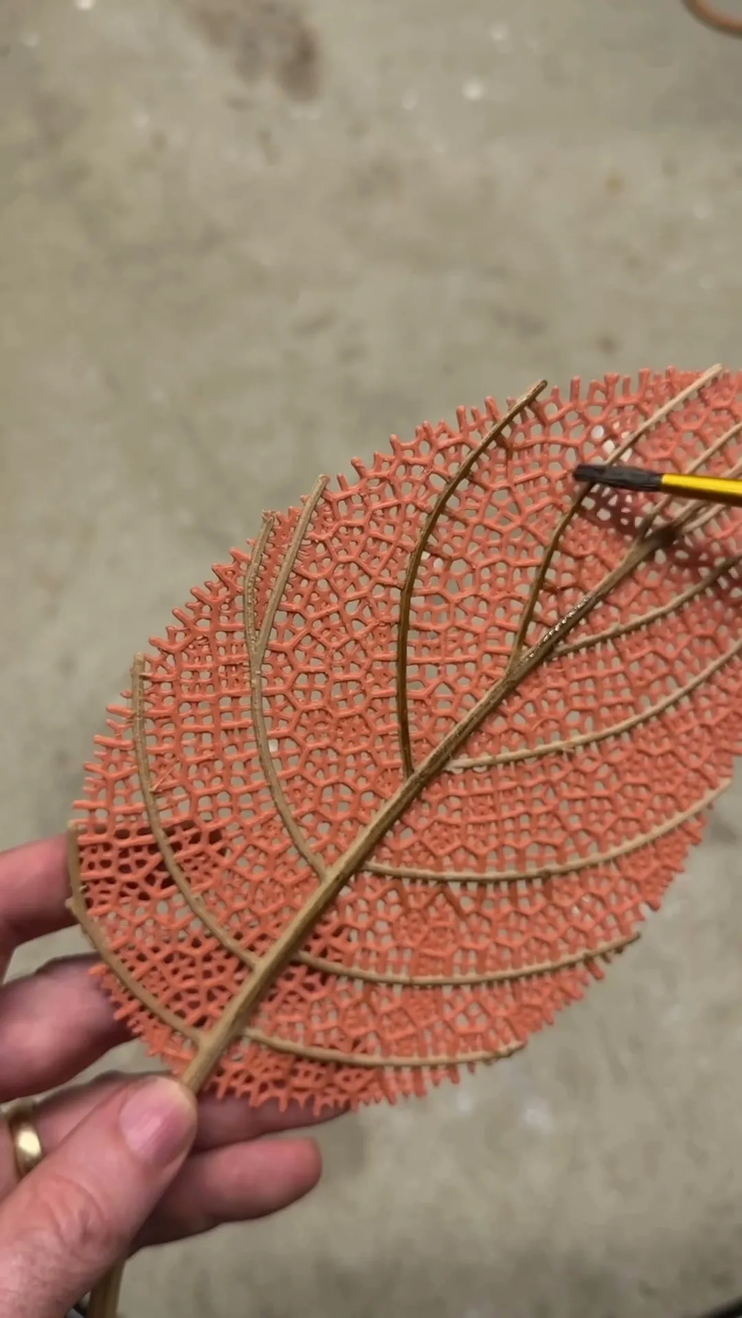 Large Skeleton Leaves