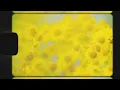 Brittany Howard - I Don't (Lyric Video)