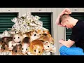 800 MOUSE INFESTED Storage Unit still made CASH
