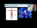 Lesson 7 4 Homeostasis and Levels of Organization