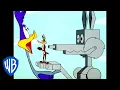 Looney Tunes The Coyote Machine Classic Cartoon WB Kids