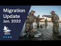 Delta Waterfowl Migration Update January 2022