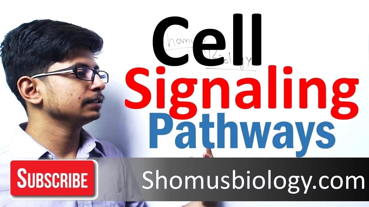 Cell signaling pathway