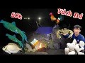 Download Lagu 50h.Cắm Trại Trên Vách Đá Đặt Bẫ.y Gà Rừng,Thả Lưới Chế Biến Món Ăn |CamPing