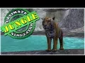 Download Lagu Birth of Our Fierce Tiger Cub!! • Ultimate Jungle Simulator!