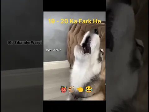 Sunnio par bhonkne wale deobandi Imtiyaz palamvi ka kaam dog barking | deobandi