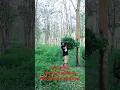 Download Lagu Ternyata Rumput Tetangga Lebih Hijau