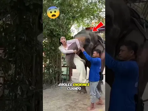 ¡Los Secretos Ocultos de los Elefantes que NUNCA Te Contarán! 🐘😱
