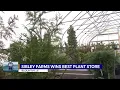 Sibley Farms wins Tri-Cities Best Plant Store