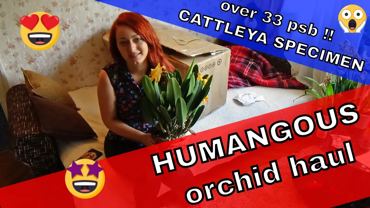 ORCHID UNBOXING 2018: MAGICAL ORCHIDS FROM SECRET GARDEN