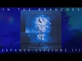 Download Lagu In The Branches - Expanse Sessions III (Full Album) 4K Ambient Guitar Music
