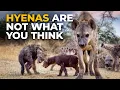 Download Lagu The Insane Biology of: The Spotted Hyena