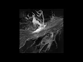 Download Lagu Kayo Dot  - Choirs Of The Eye FULL ALBUM (2003)