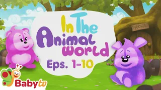 Discover the Amazing World of Animals! 🦁🌍 | In the Animal World | Baby TV for Kids