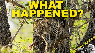 Big Week. Lot of Questions. Not Many Answers Yet. | Virtual Safari #343