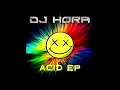Download Lagu HORA - Acid Trax