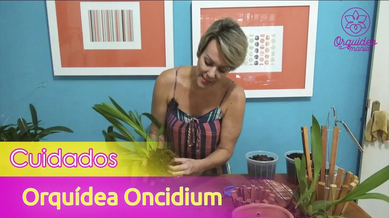 CUIDADOS COM A ORQUÍDEA ONCIDIUM